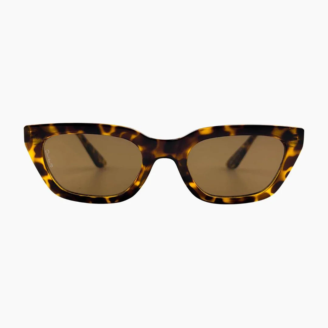 Nove Tort/Brown