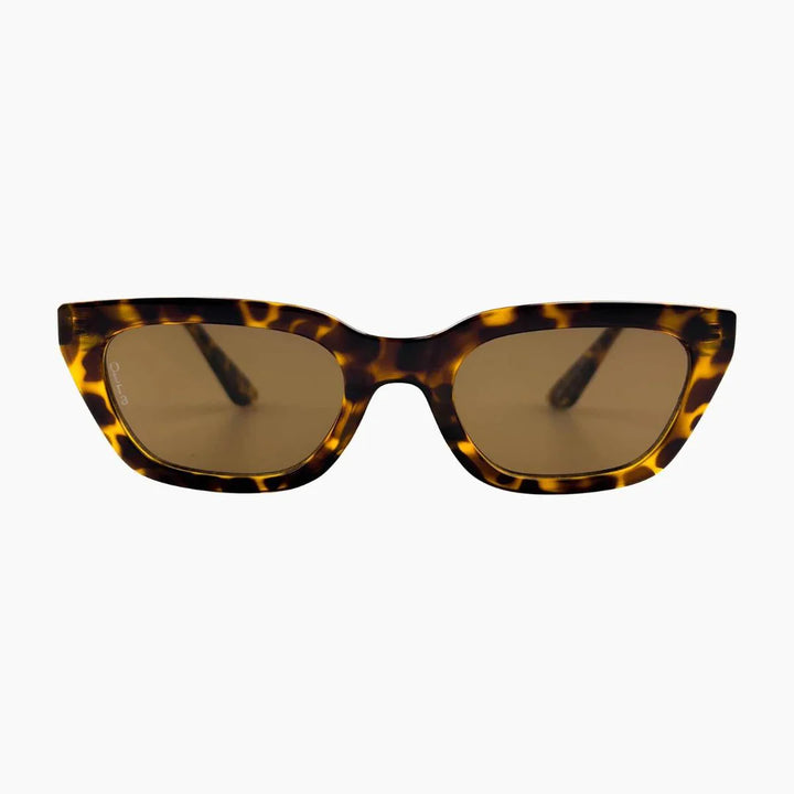 Nove Tort/Brown