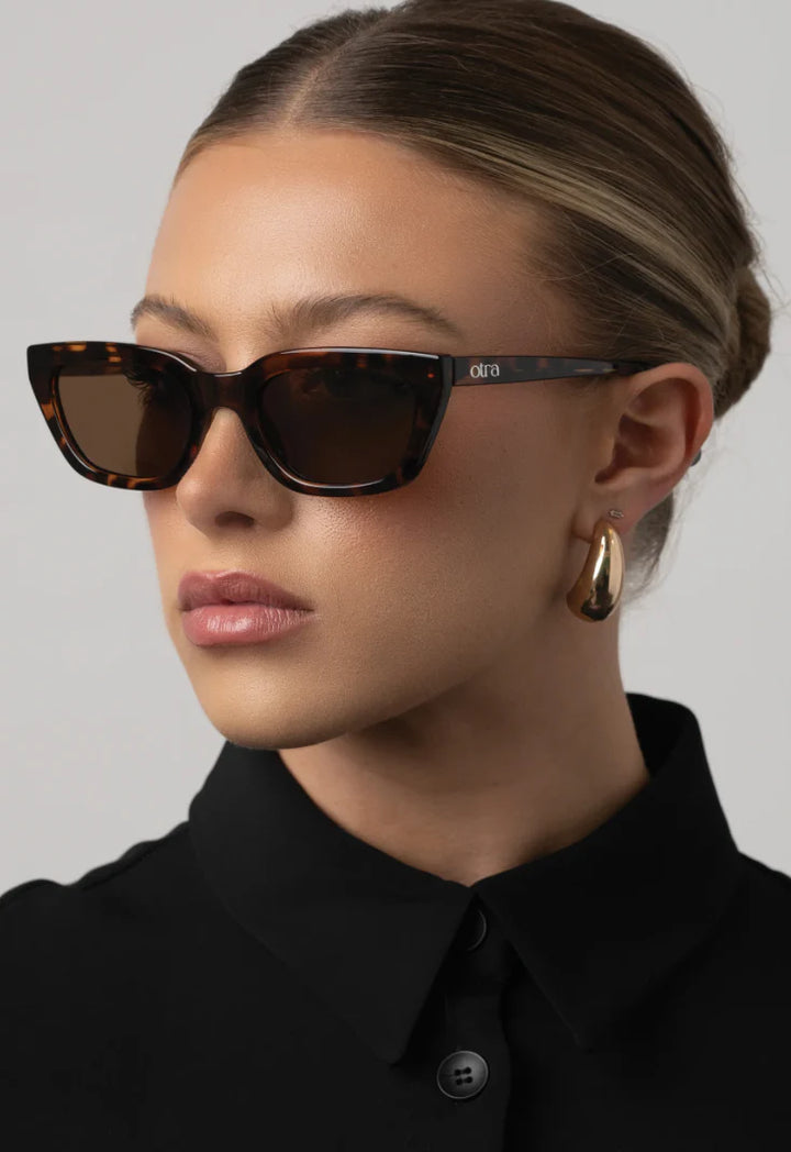 Nove Tort/Brown