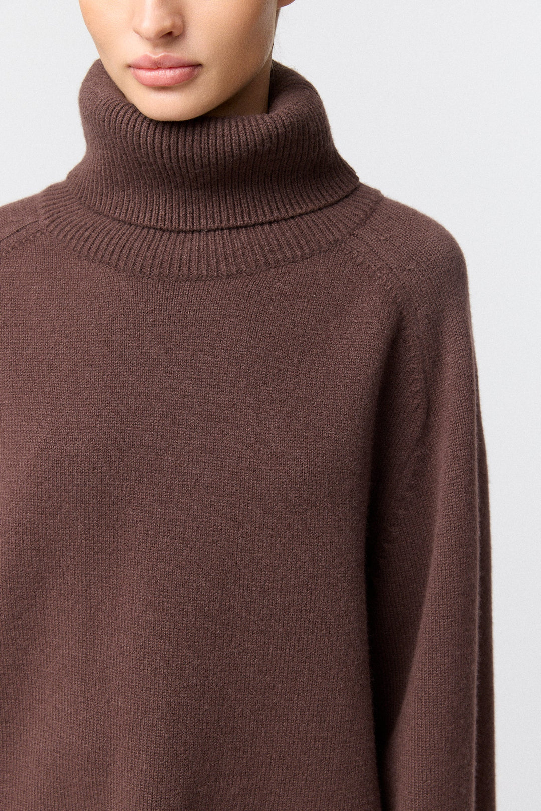 Issa Turtleneck Sweater Chocolate Brown