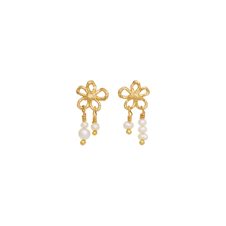 Nicola Earrings gull