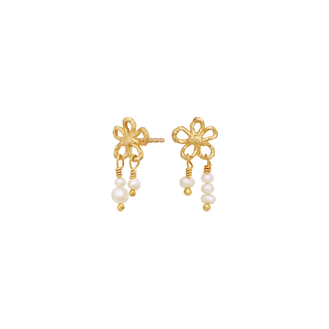 Nicola Earrings gull
