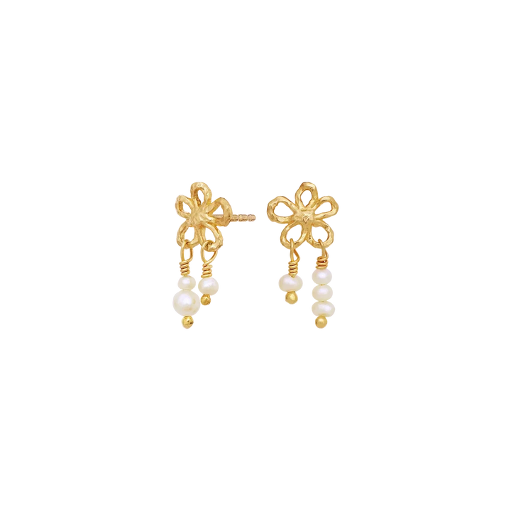 Nicola Earrings gull